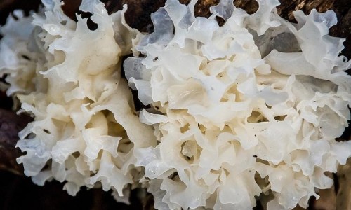 人流术后感染用药-专业人流术后感染用药多久平台-人流术后感染吃什么药
